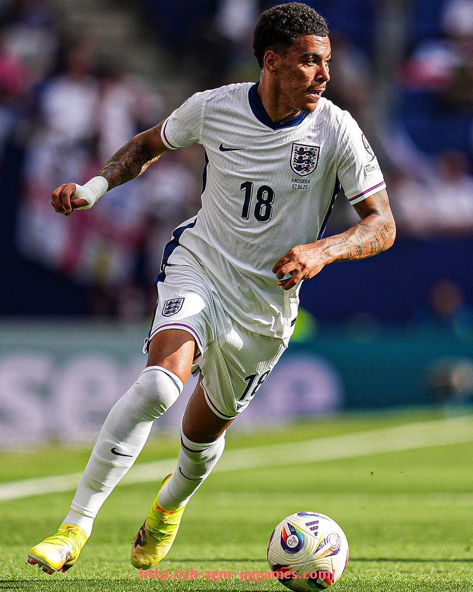 pg电子在线下载-回顾2009年NBA火箭队经典比赛录像全记录