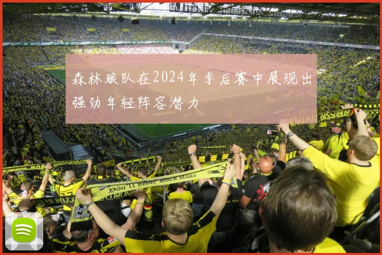 森林狼队在2024年季后赛中展现出强劲年轻阵容潜力