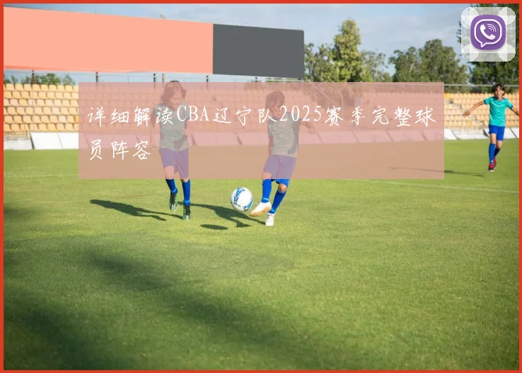 详细解读CBA辽宁队2025赛季完整球员阵容