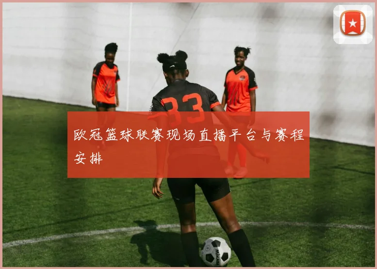 欧冠篮球联赛现场直播平台与赛程安排