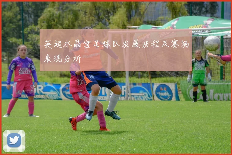 英超水晶宫足球队发展历程及赛场表现分析