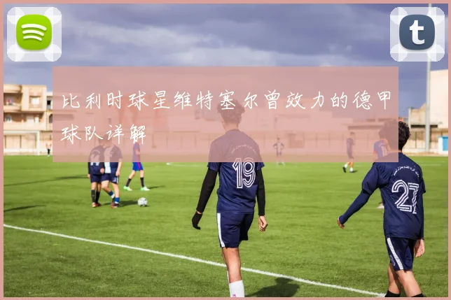 比利时球星维特塞尔曾效力的德甲球队详解