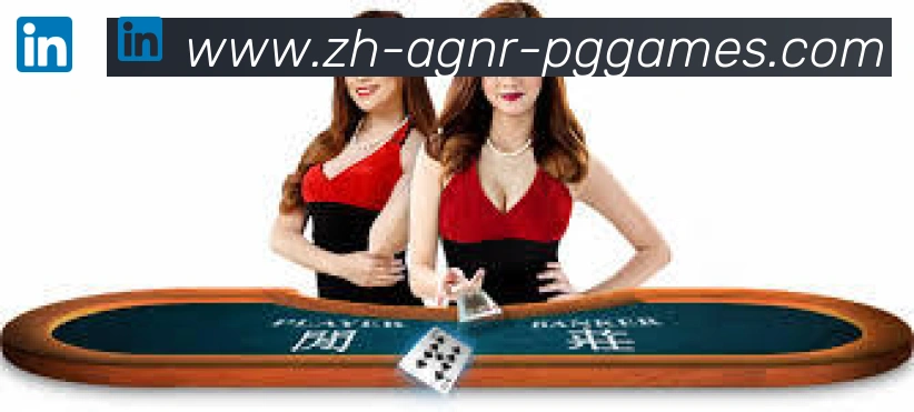 未来规划