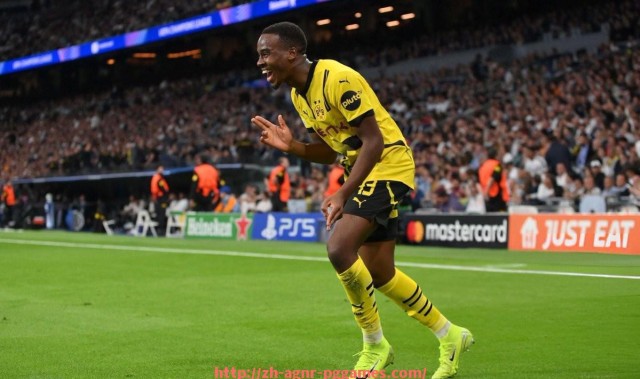 pg电子在线下载-意甲进级球队的挑战与成功案例