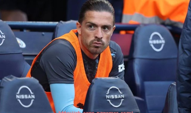 pg电子在线下载-德甲球队特色球场图片展示及设计理念解析